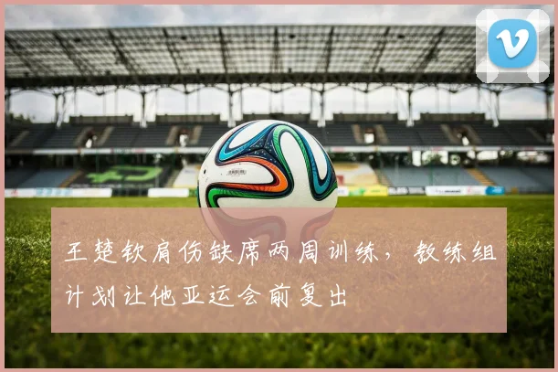 王楚钦肩伤缺席两周训练，教练组计划让他亚运会前复出