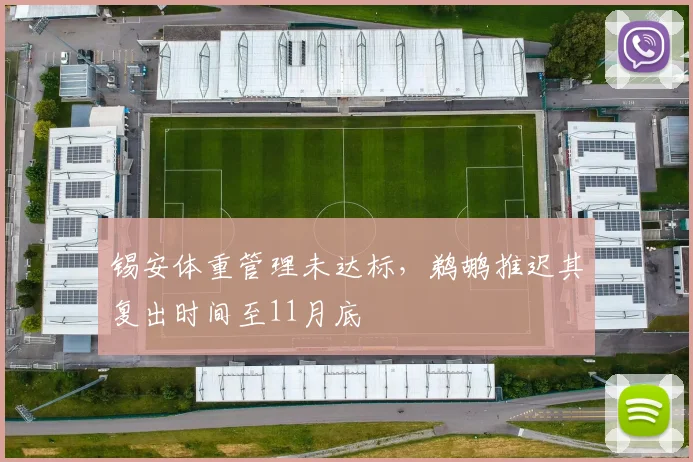 锡安体重管理未达标，鹈鹕推迟其复出时间至11月底