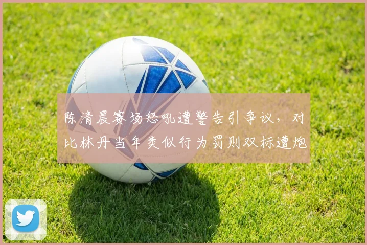 陈清晨赛场怒吼遭警告引争议，对比林丹当年类似行为罚则双标遭炮轰