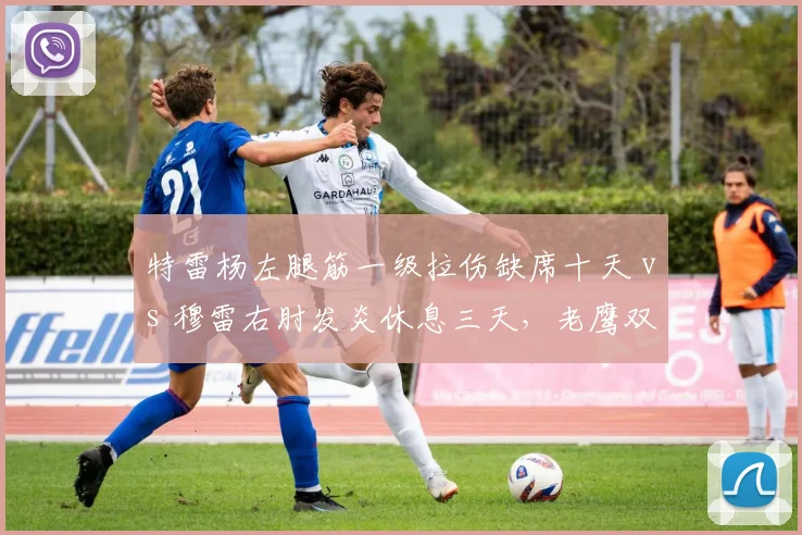 特雷杨左腿筋一级拉伤缺席十天 vs 穆雷右肘发炎休息三天，老鹰双控卫伤情轻重有别